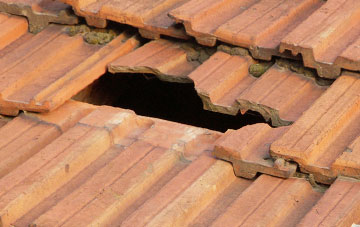 roof repair Rotcombe, Somerset